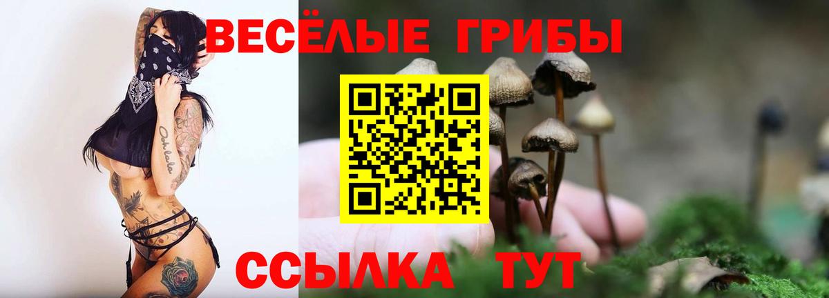 Борзя  Галлюциногенные грибы GOLDEN TEACHER  Вход с VPN 
